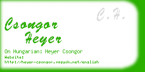 csongor heyer business card